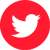 twitter logo icon red