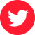 logo de twitter icono rojo